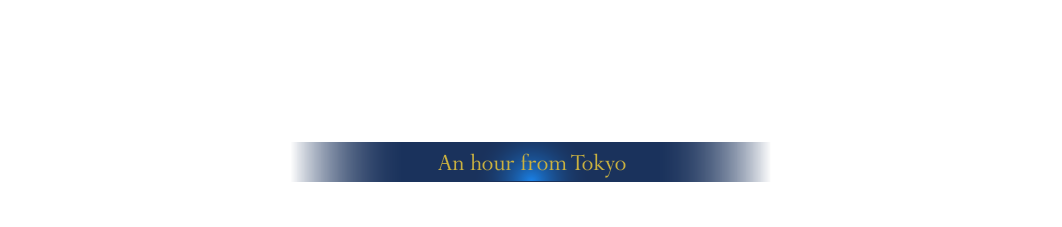 Healing hideaway, away from noisy large city Resort hotel with a wealth of nature in Near Future City “Tsukuba” An hour from Tokyo