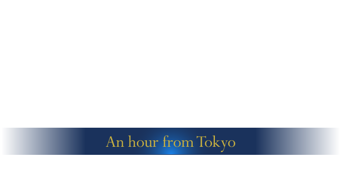 Healing hideaway, away from noisy large city Resort hotel with a wealth of nature in Near Future City “Tsukuba” An hour from Tokyo